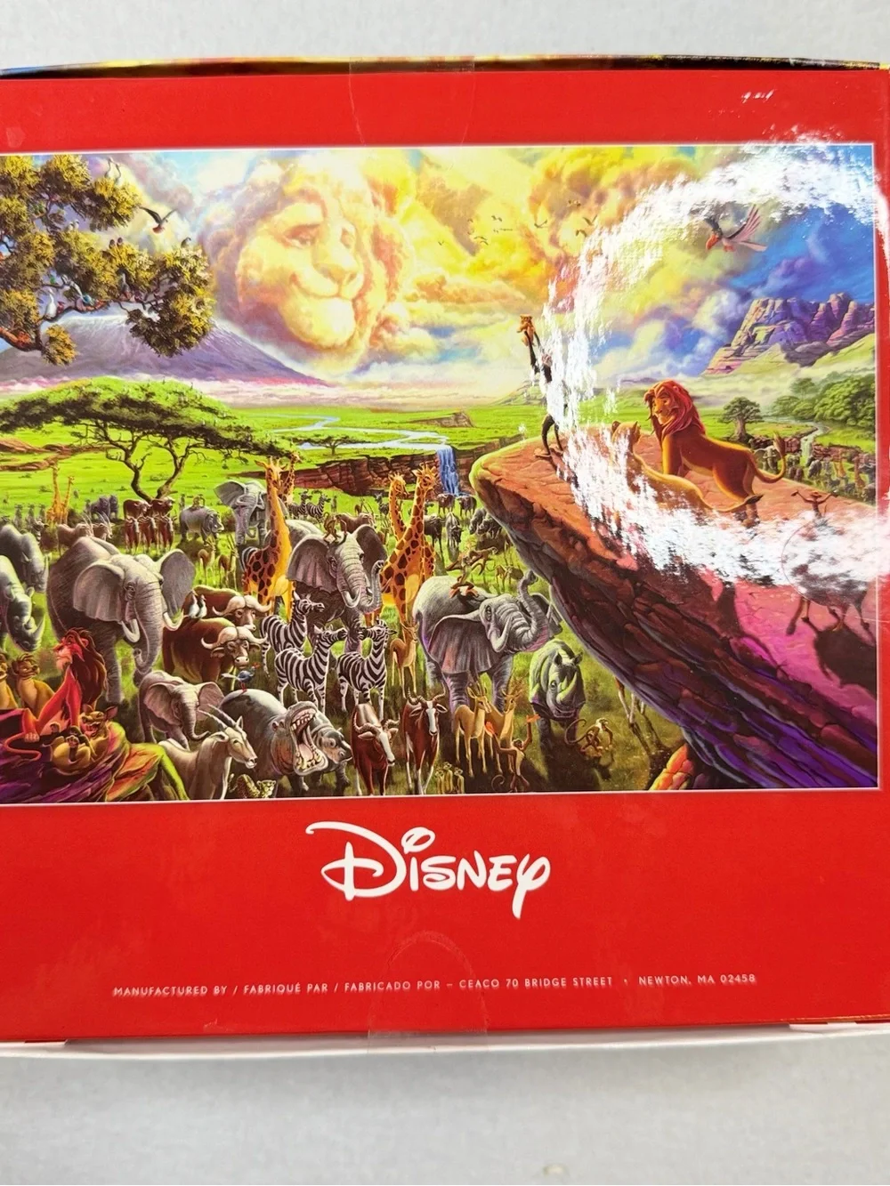 Disney The Lion King Puzzle - Red, Yellow, Green, Blue, Purple